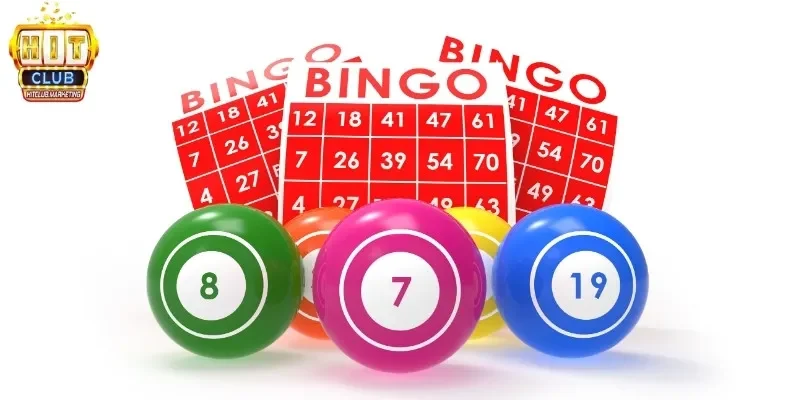 Bingo là gì? Trò chơi số may mắn phổ biến nhất hiện nay